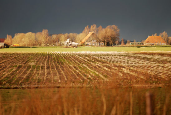 Boerderij nabij Westhem - FrieslandStock