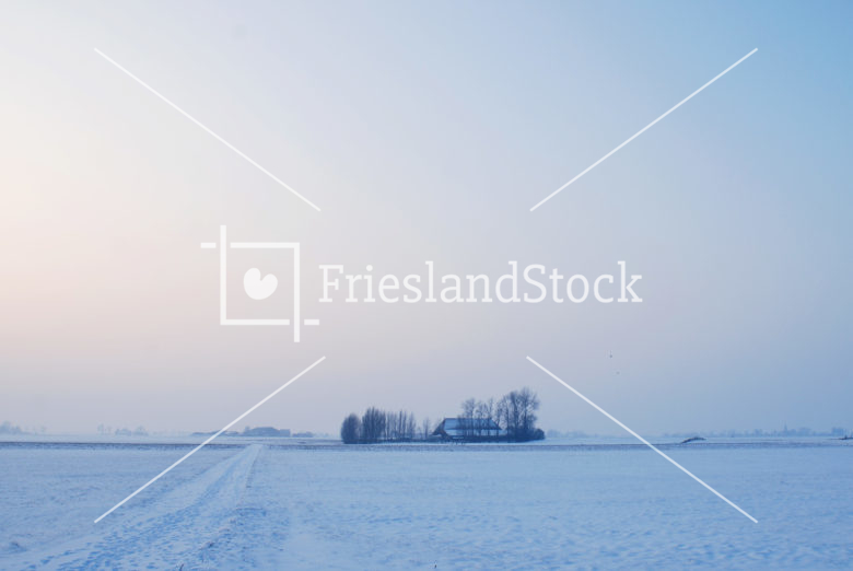 Boerderij in winterse setting - FrieslandStock