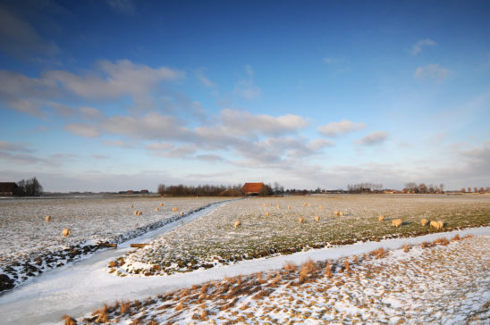 Winters landschap bij Abbega - FrieslandStock