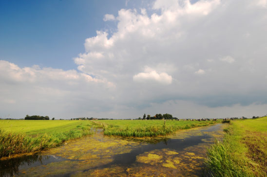 Landschap bij Schoterzijl - FrieslandStock