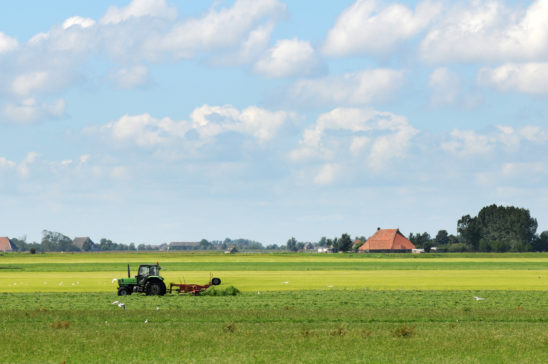 Boer in weiland bij Blauwhuis - FrieslandStock