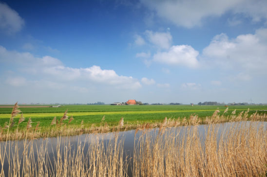 Landschap bij Workum - FrieslandStock