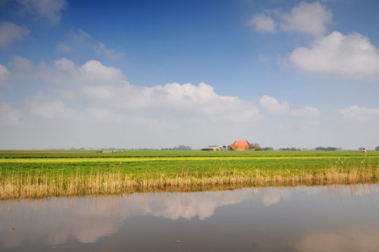Weiland met sloot en boerderij - FrieslandStock